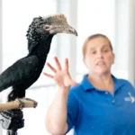 Avenue optometry 1st anniversary photo with rare bird